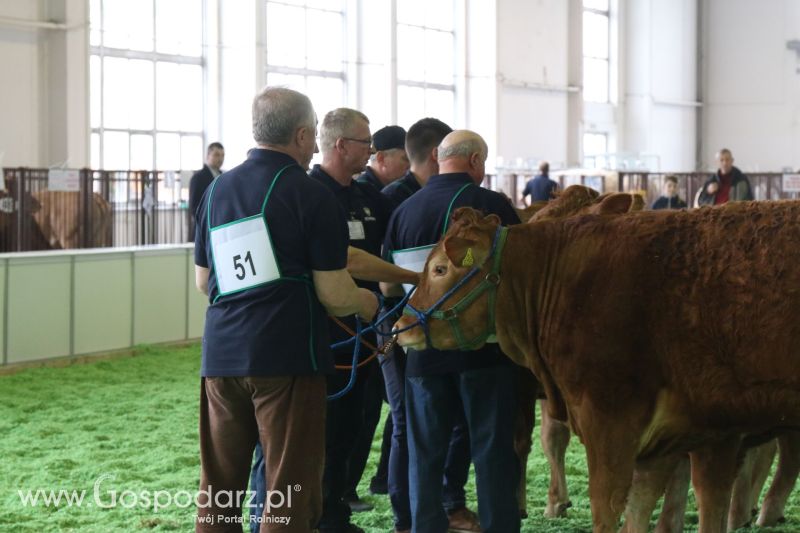 Krajowa Wystawa Zwierząt Hodowlanych w Poznaniu 2017 (piątek, 5 maja)