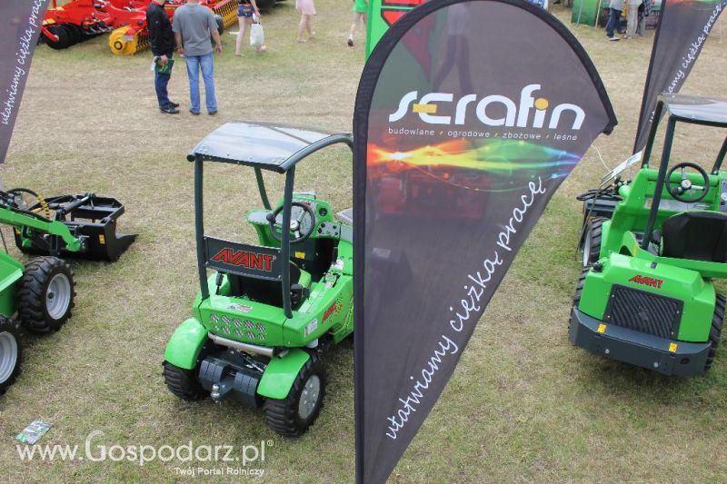Serafin na Opolagrze 2013