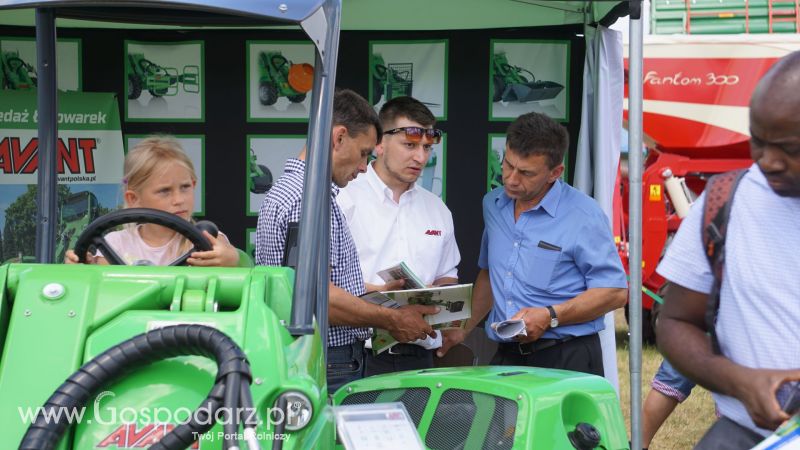 Avant Serafin na Opolagrze 2017