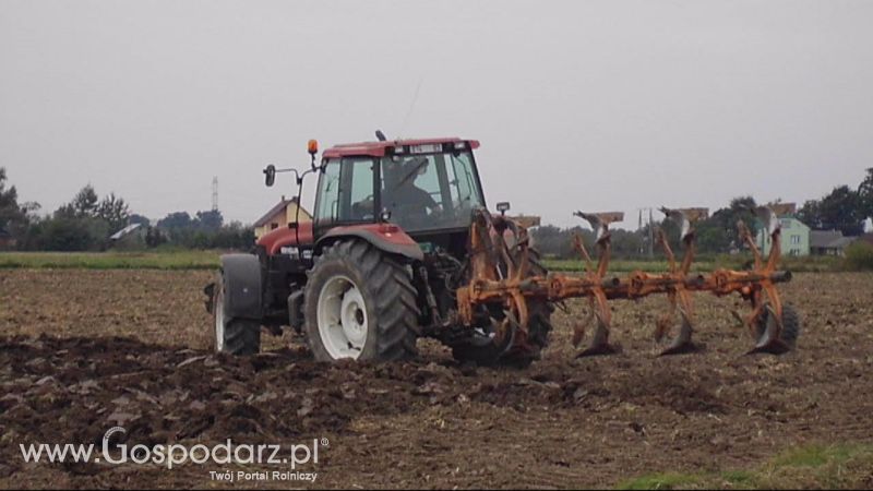Orka 2013