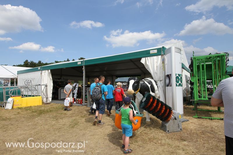 OPOLAGRA 2015 w Kamieniu Śląskim