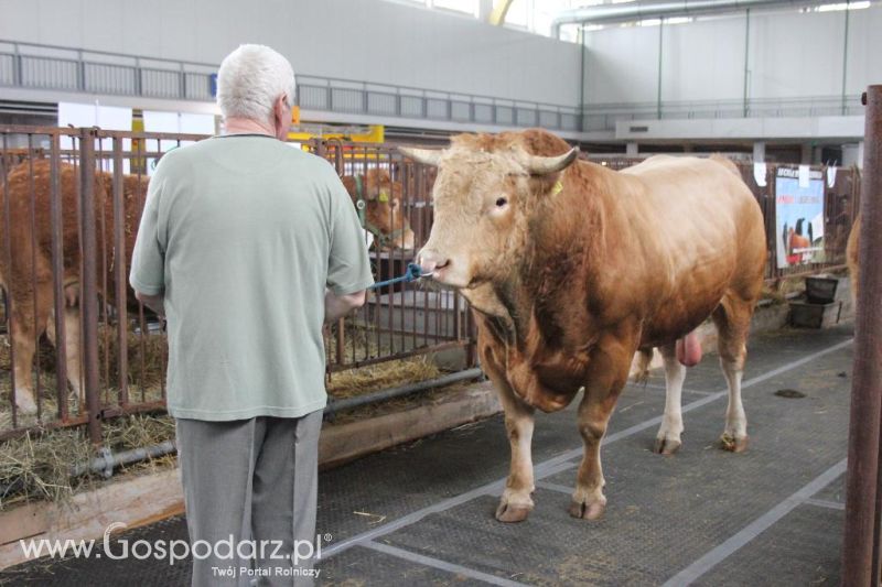 XXVI Krajowa Wystawa Zwierząt Hodowlanych - sobota i niedziela