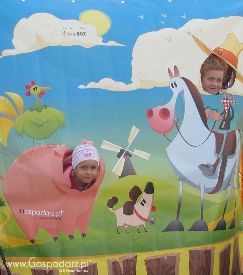 Zdjęcia ze świnką na Agro Show 2012 niedziela