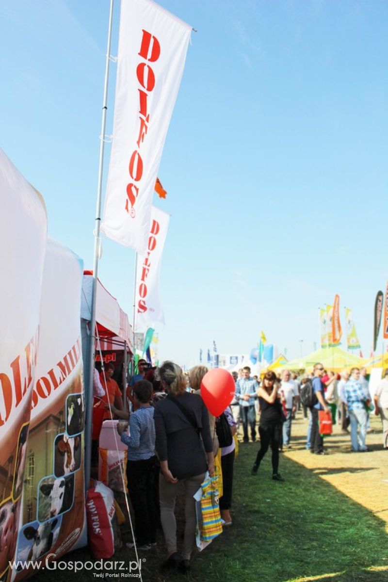 Dolfos na Agro Show w Bednarach