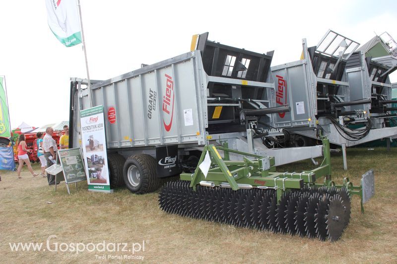 Opolagra 2011