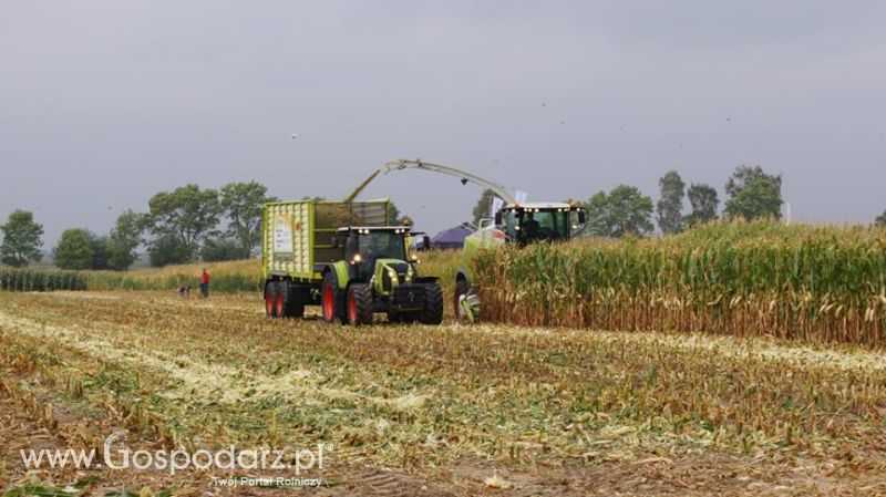 Podlaski Dzień Kukurydzy 2015