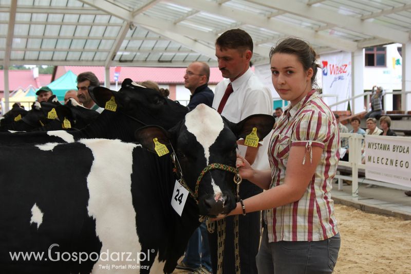 Wystawa bydła Sielinko 2011