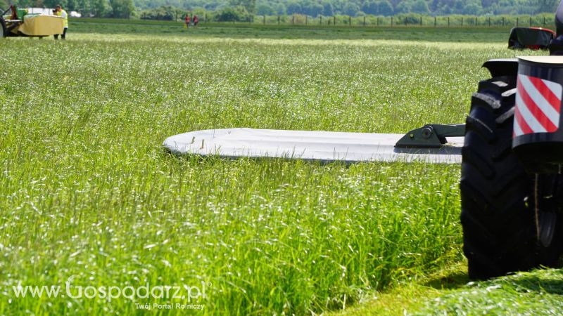 ZIELONE AGRO SHOW 2017 w Ułężu (niedziela, 28 maja)