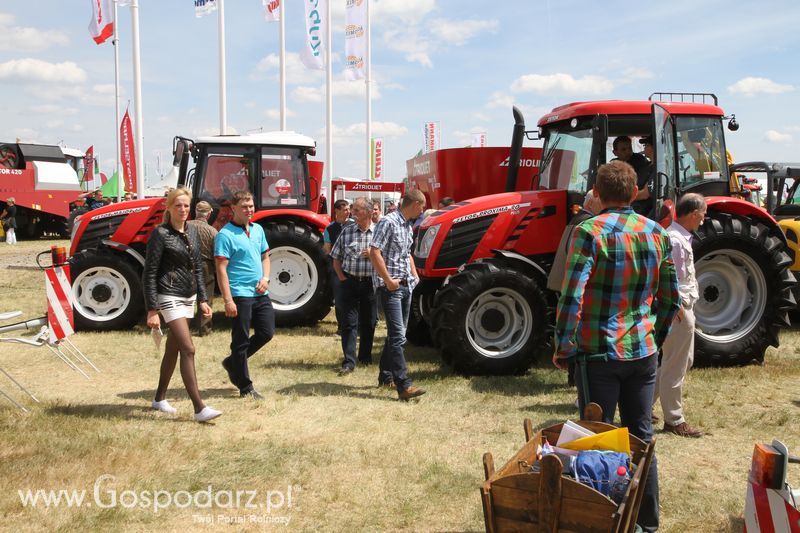 Zielone AGRO SHOW - Polskie Zboża 2015 w Sielinku