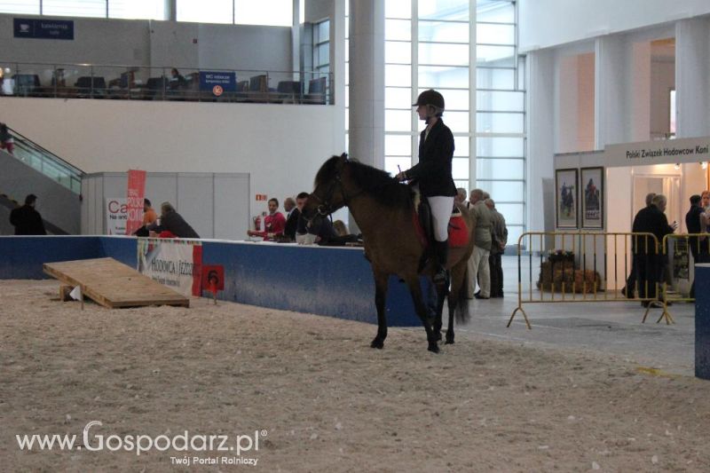 XXVI Krajowa Wystawa Zwierząt Hodowlanych - piątek