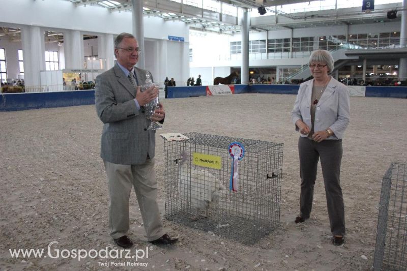 XXVI Krajowa Wystawa Zwierząt Hodowlanych - sobota i niedziela