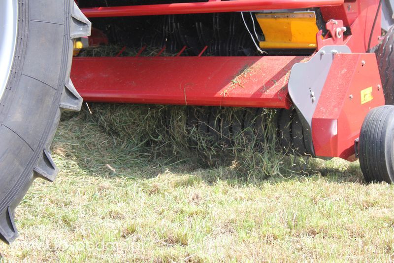 Zielone Agro Show pokaz maszyn rolniczych