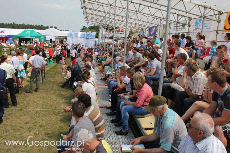 Opolagra 2012