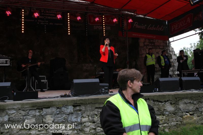 Ogólnopolskie Targi Sztuki Kowalskiej - Wojciechów 2013