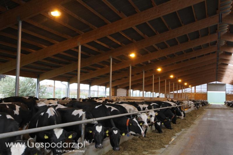 Wyjazd studyjny na farmę Langengrassau w Niemczech