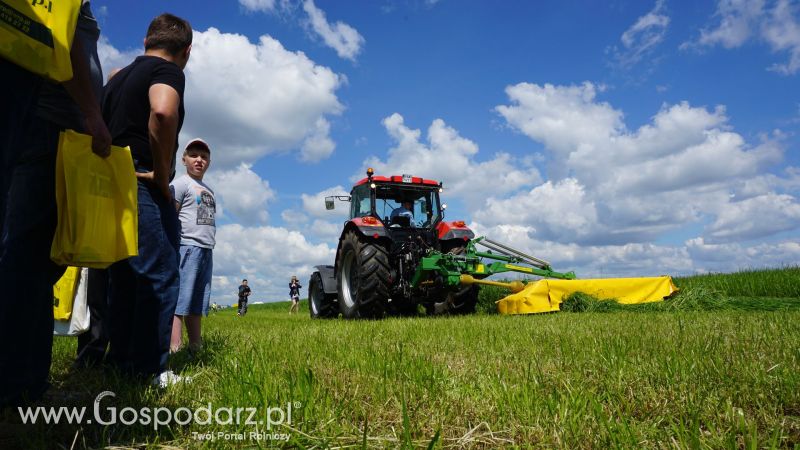 ZIELONE AGRO SHOW 2017 w Ułężu (niedziela, 28 maja)