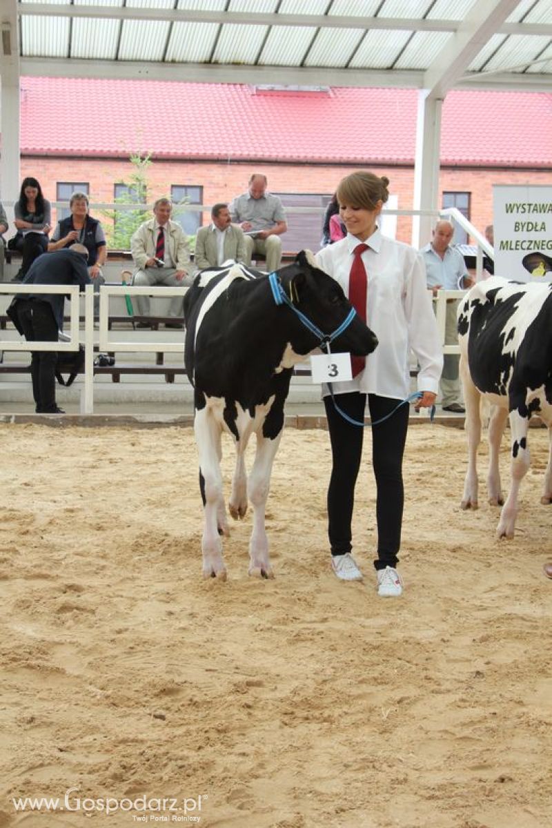 Wystawa bydła Sielinko 2011