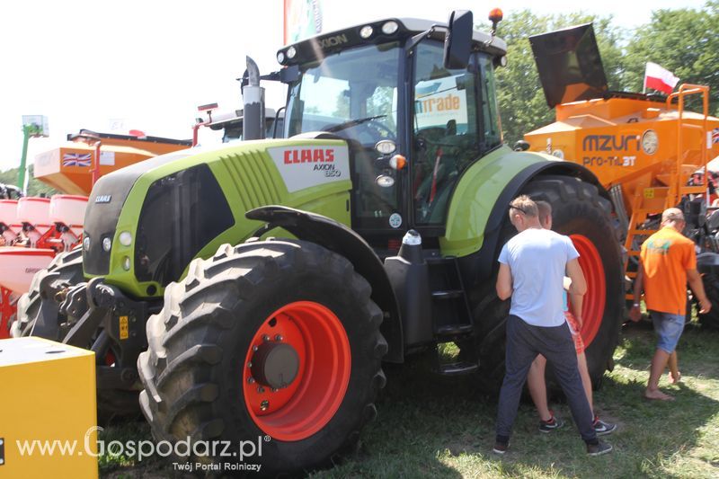  Regionalna Wystawa Zwierząt Hodowlanych W Szepietowie 2016 z Gospodarz.pl