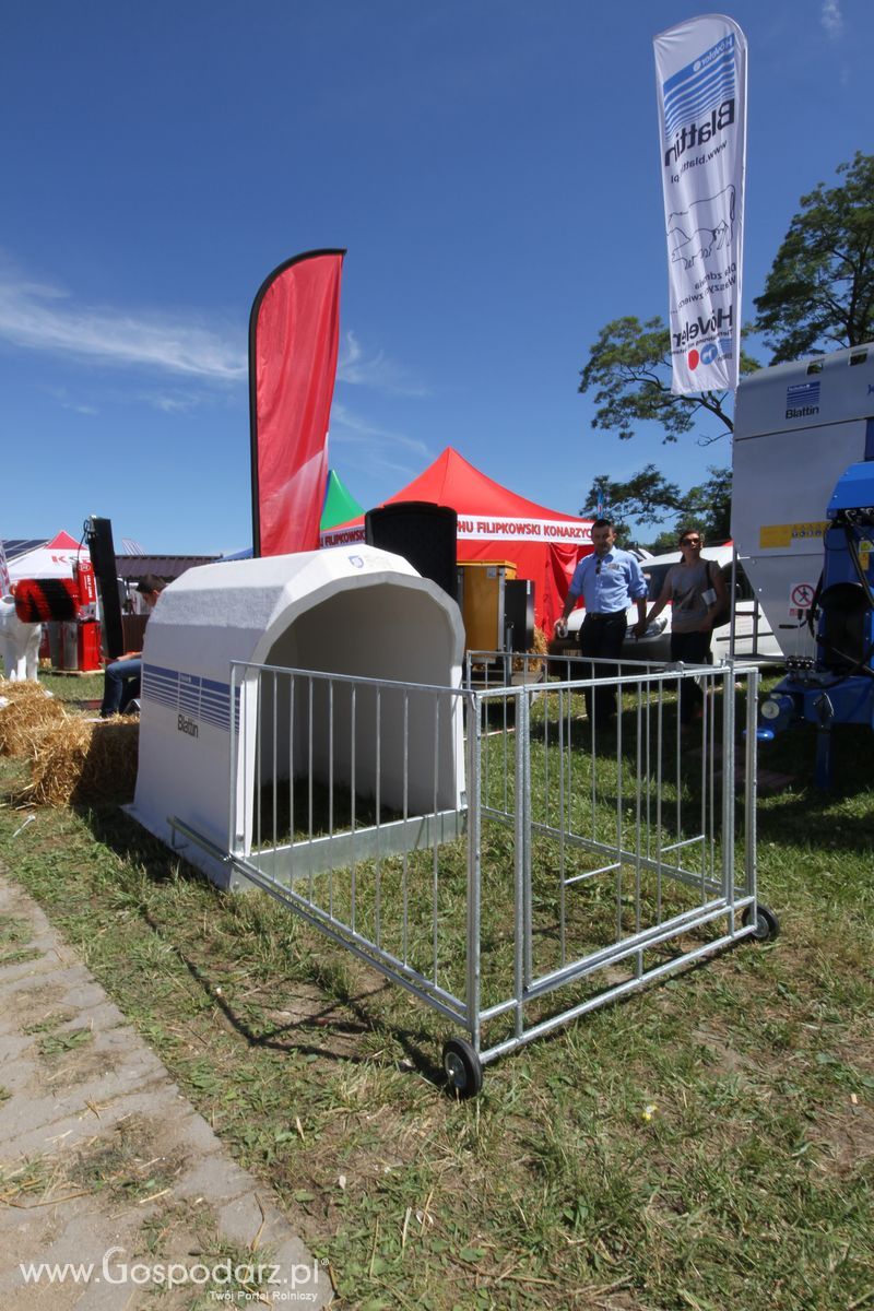 Blattin na Wystawie w Szepietowie 