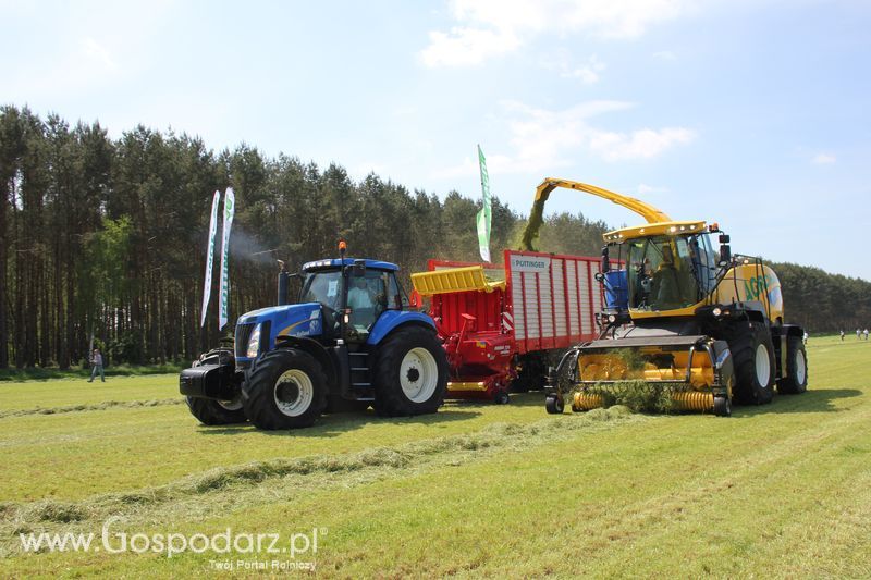 Zielone Agro Show pokaz maszyn rolniczych