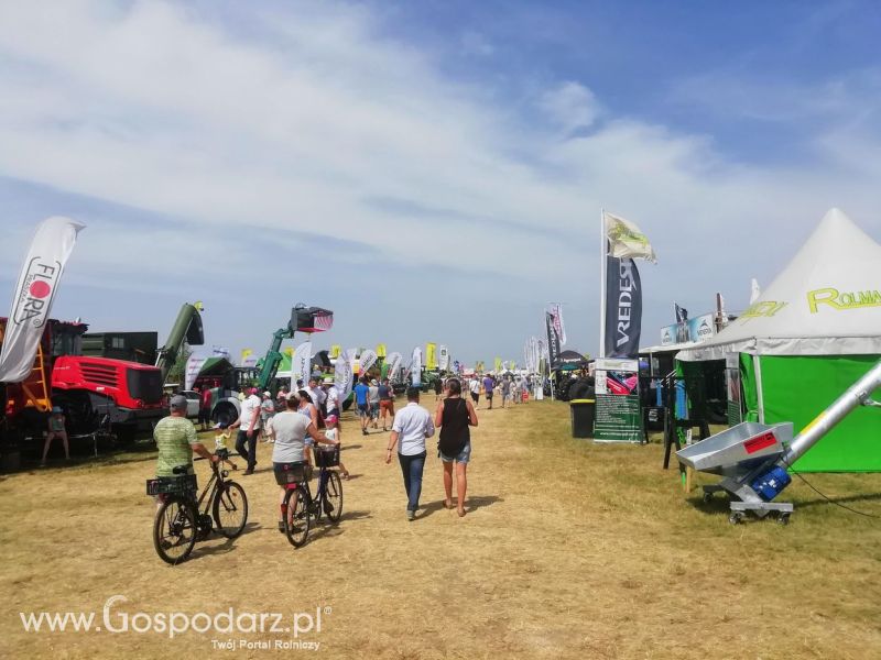 Opologra 2019