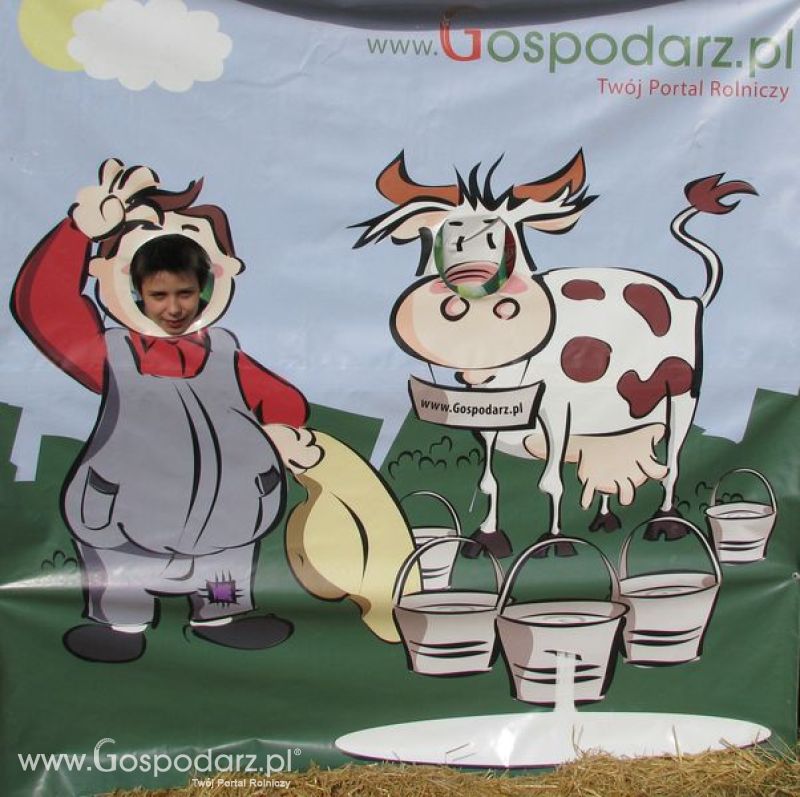 Agro Show 2011 Bednary Zdjęcie z krówką Niedziela