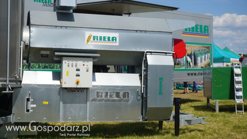 Riela na Opolagrze 2017