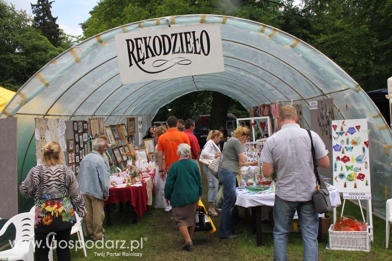  XX Targi Rolnicze Lubniewice