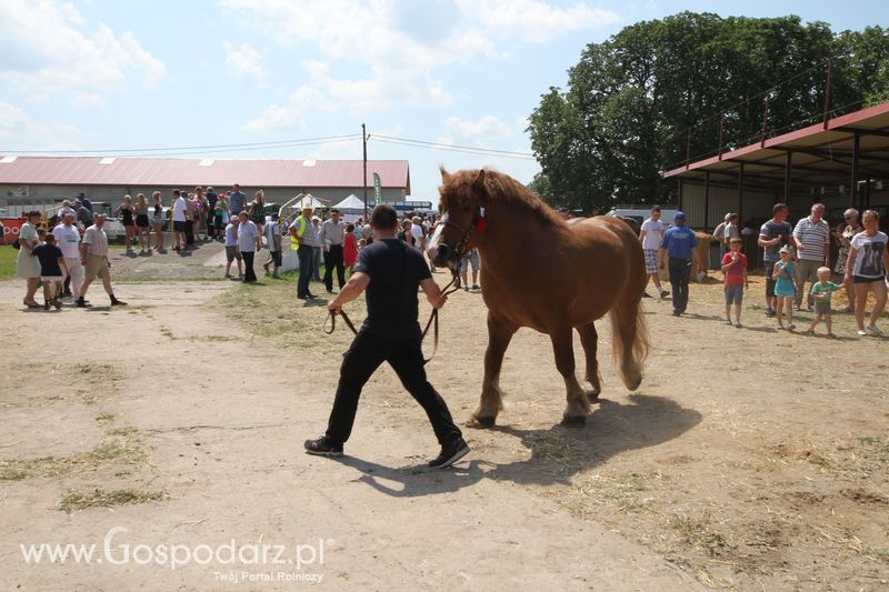 Regionalna Wystawa Zwierząt Hodowlanych W Szepietowie 2016 z Gospodarz.pl