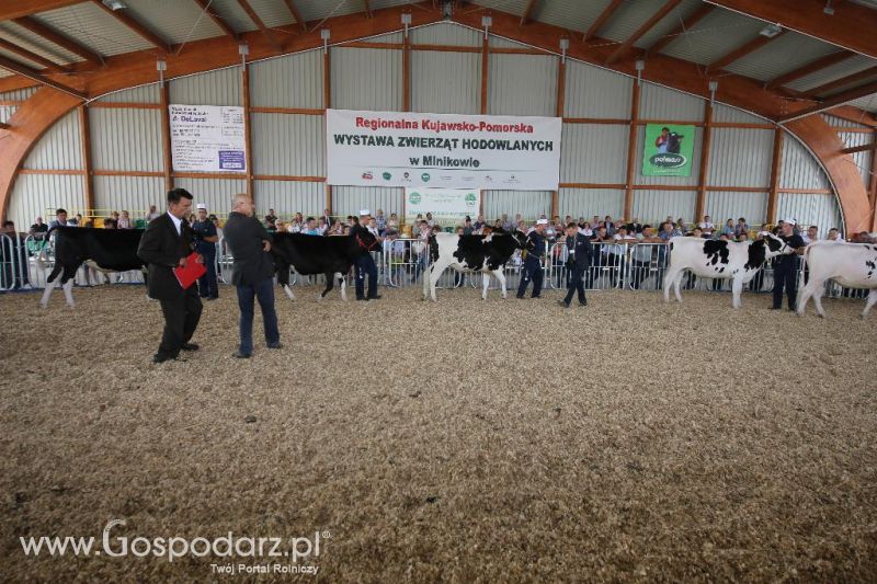 AGRO-TECH Minikowo 2014 - sobota