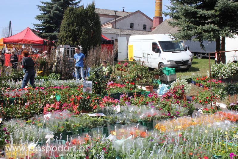 XX Agro-Targi 2011 w Starej Łubiance