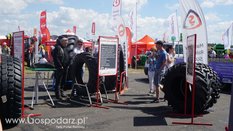 Grasdorf na Opolagrze 2017