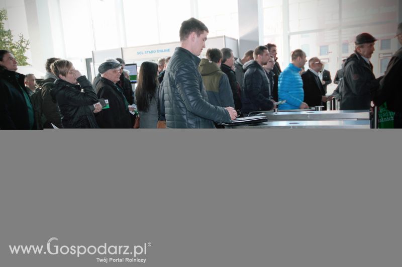 Ferma 2019 dzień 1