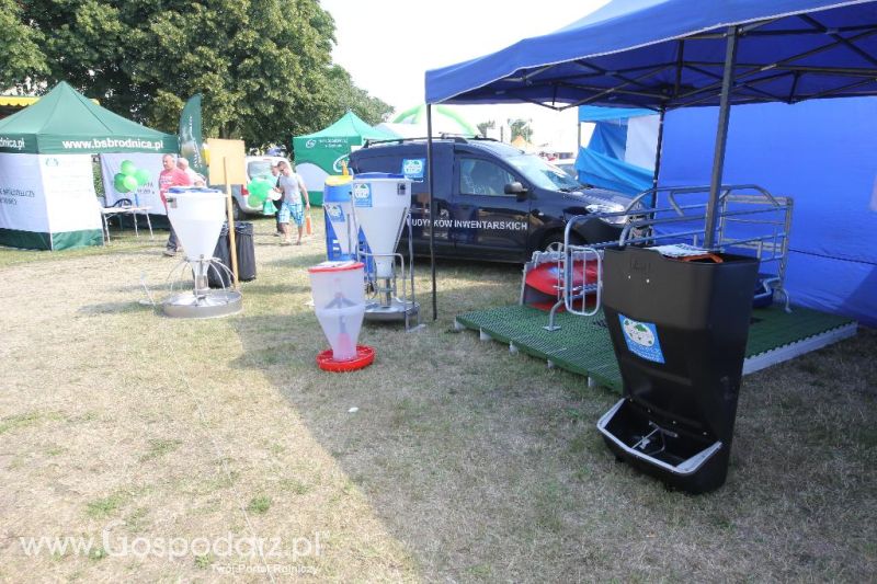 AGRO-TECH Minikowo 2014 - niedziela