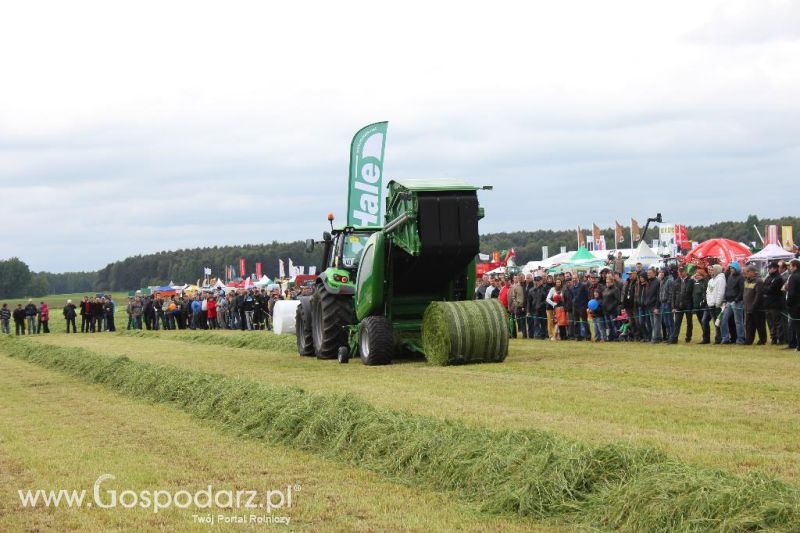 Pokazy maszyn Polskie Zboża Zielone Agro Show 2013