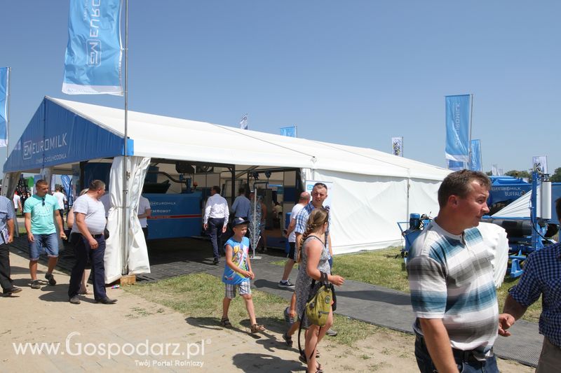  Regionalna Wystawa Zwierząt Hodowlanych W Szepietowie 2016 z Gospodarz.pl