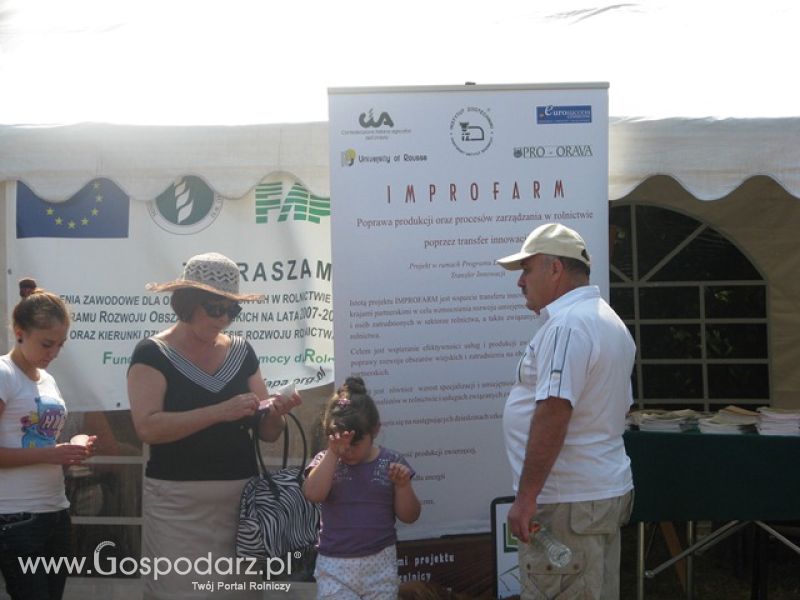 Krajowa Wystawa Ras Rodzimych Rudawka Rymanowska 2012 dzień 2