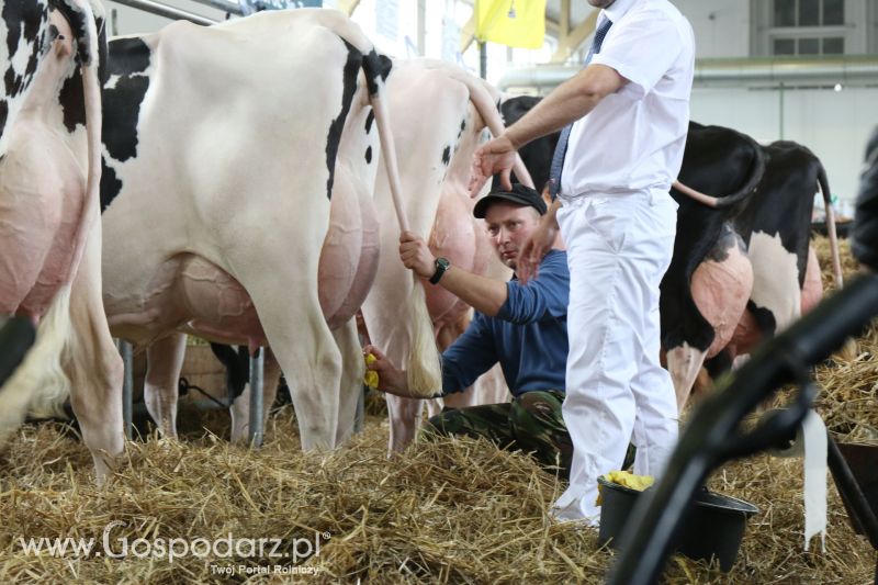 Krajowa Wystawa Zwierząt Hodowlanych w Poznaniu 2017 (piątek, 5 maja)