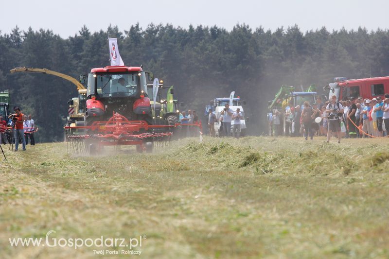 Pokazy polowe podczas targów OPOLAGRA 2015