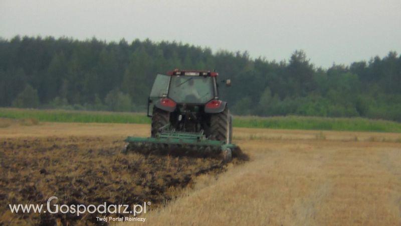Talerzowane 2013 