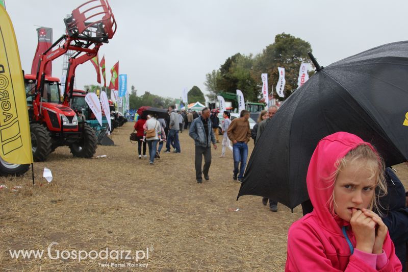 Targi AGRO-FARMA 2015 w Kowalewie Pomorskim - niedziela