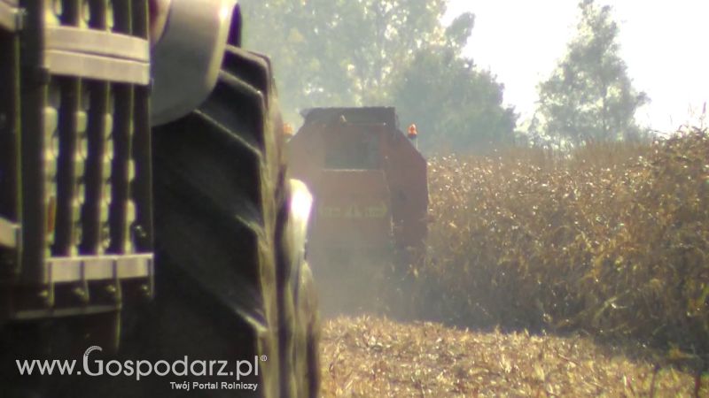 Żniwa Kukurydziane 2013