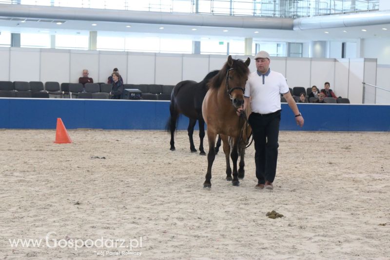 Krajowa Wystawa Zwierząt Hodowlanych w Poznaniu 2017 (niedziela, 7 maja)