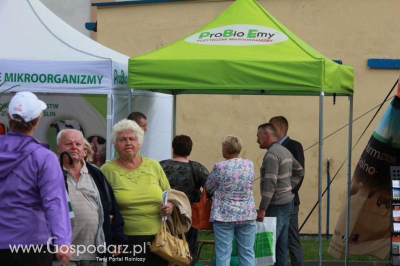 Targi ROLEXPO w Sochaczewie
