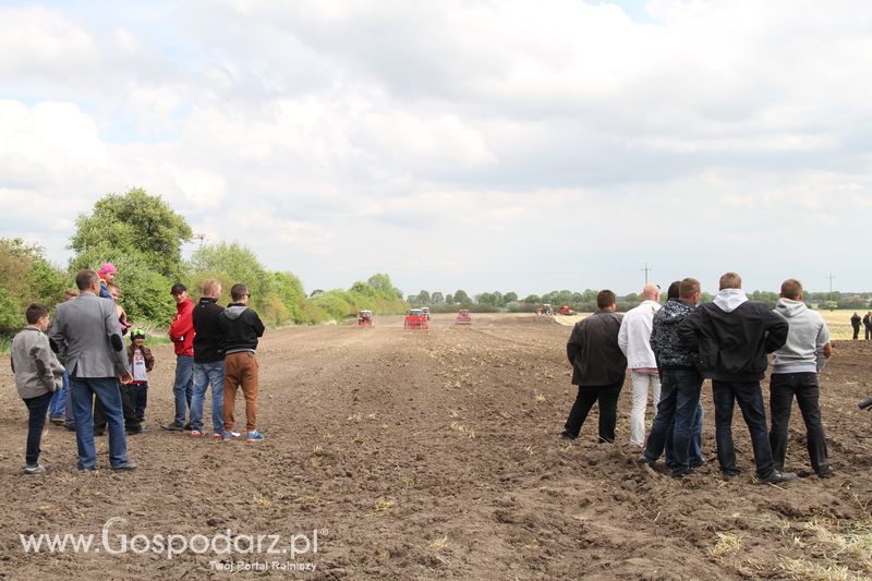 Majówka z Zetorem w Brzeziu