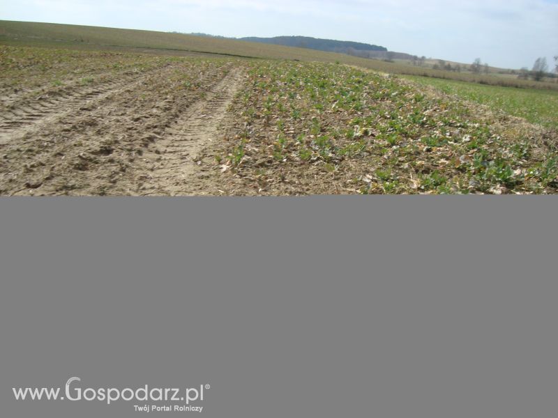 Moje zdjęcia