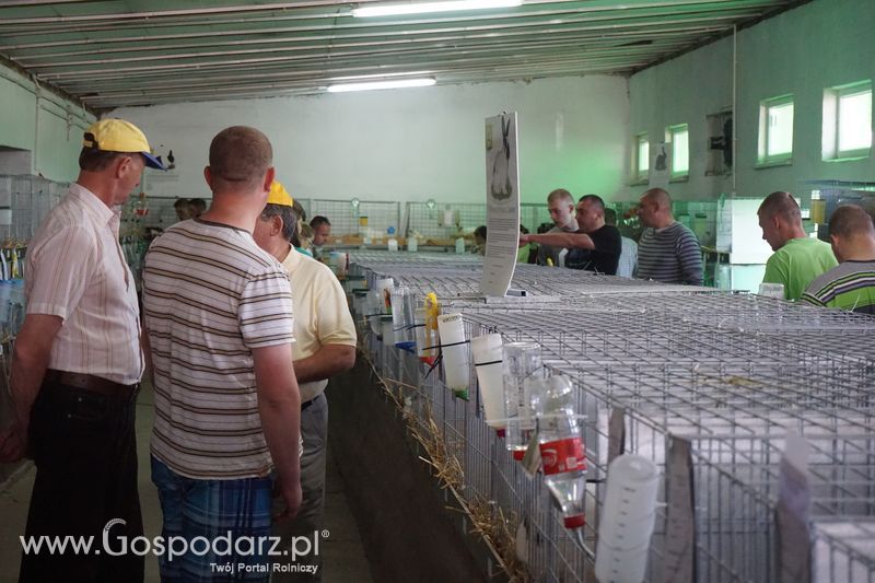 Wystawa zwierząt w Szepietowie