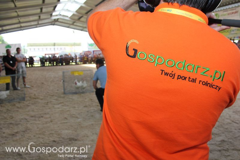 Nagrody - Szepietowo 2012 XIX Regionalna Wystawa Zwierząt Hodowlanych