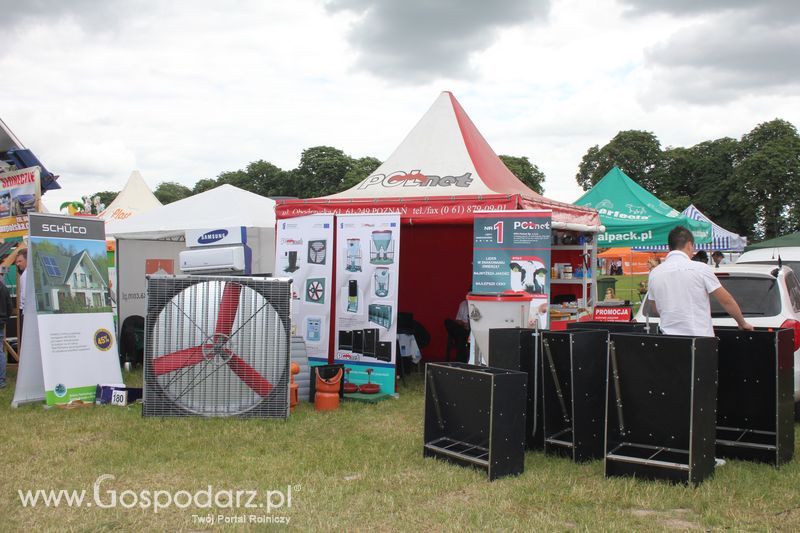 XVIII Regionalna Wystawa Zwierząt Hodowlanych w Szepietowie - niedziela