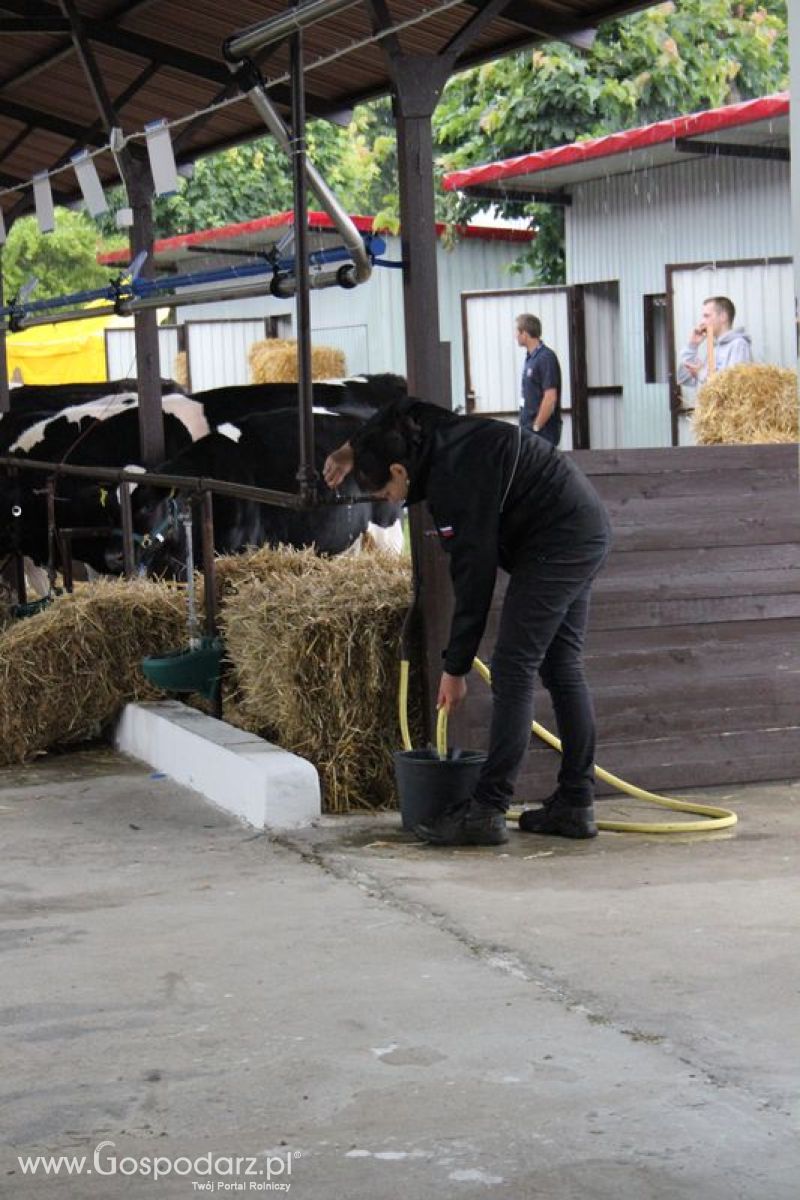 XVIII Regionalna Wystawa Zwierząt Hodowlanych w Szepietowie - przygotowania